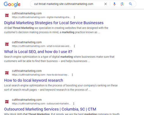 Understanding the Importance of Title Tags and Meta Descriptions